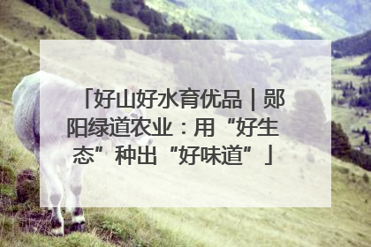 好山好水育优品｜郧阳绿道农业：用“好生态”种出“好味道”