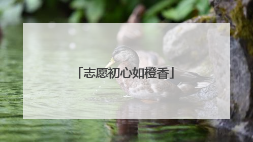志愿初心如橙香