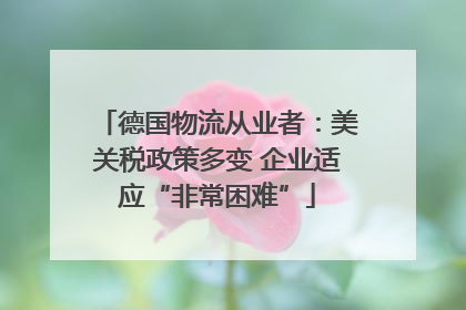 德国物流从业者：美关税政策多变 企业适应“非常困难”