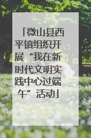 微山县西平镇组织开展“我在新时代文明实践中心过端午”活动