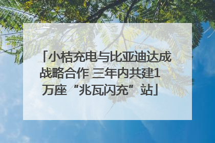 小桔充电与比亚迪达成战略合作 三年内共建1万座“兆瓦闪充”站