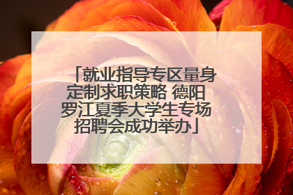 就业指导专区量身定制求职策略 德阳罗江夏季大学生专场招聘会成功举办