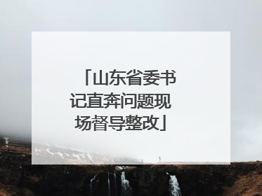 山东省委书记直奔问题现场督导整改