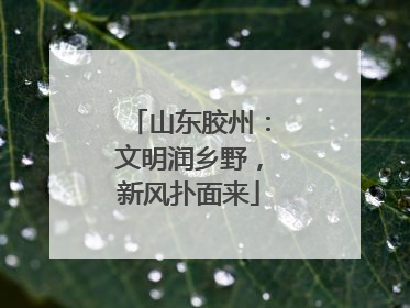 山东胶州：文明润乡野，新风扑面来