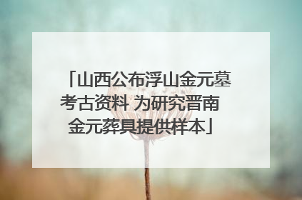 山西公布浮山金元墓考古资料 为研究晋南金元葬具提供样本
