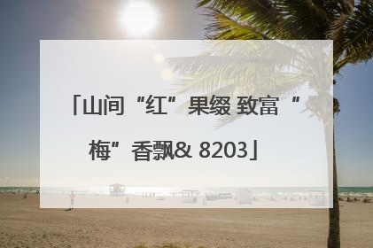 山间“红”果缀 致富“梅”香飘& 8203