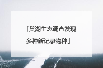 巢湖生态调查发现多种新记录物种