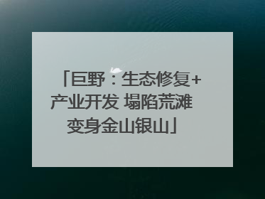 巨野：生态修复+产业开发 塌陷荒滩变身金山银山