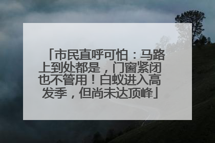 市民直呼可怕：马路上到处都是，门窗紧闭也不管用！白蚁进入高发季，但尚未达顶峰