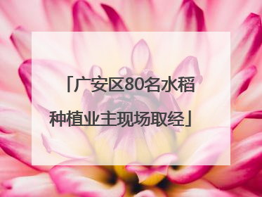 广安区80名水稻种植业主现场取经