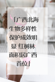 广西北海生物多样性保护成效明显 红树林面积居广西首位