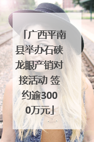 广西平南县举办石硖龙眼产销对接活动 签约逾3000万元