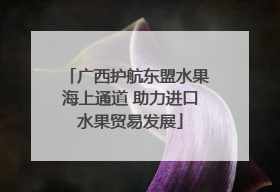 广西护航东盟水果海上通道 助力进口水果贸易发展