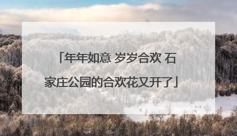 年年如意 岁岁合欢 石家庄公园的合欢花又开了
