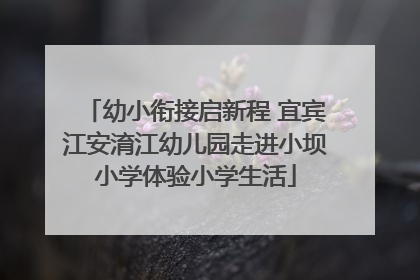 幼小衔接启新程 宜宾江安淯江幼儿园走进小坝小学体验小学生活