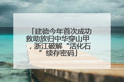 建德今年首次成功救助放归中华穿山甲，浙江破解“活化石”续存密码