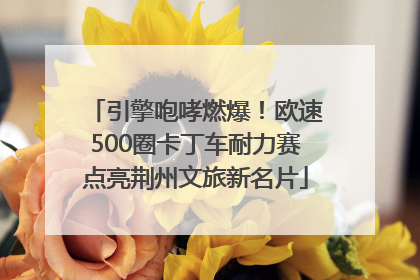 引擎咆哮燃爆！欧速500圈卡丁车耐力赛点亮荆州文旅新名片