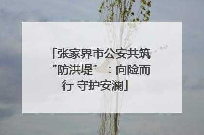 张家界市公安共筑“防洪堤”：向险而行 守护安澜