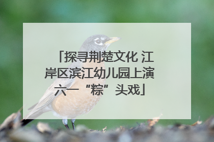 探寻荆楚文化 江岸区滨江幼儿园上演六一“粽”头戏