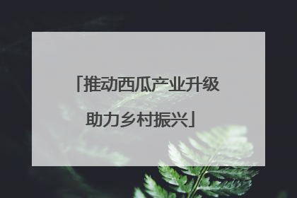 推动西瓜产业升级 助力乡村振兴