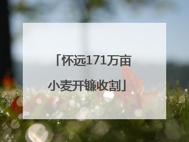 怀远171万亩小麦开镰收割