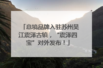 意境品牌入驻苏州吴江震泽古镇，“震泽四宝”对外发布！