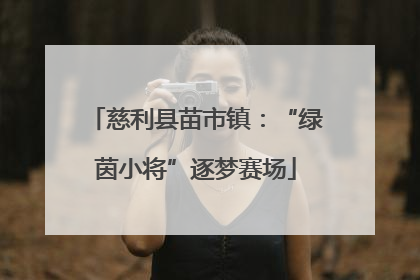 慈利县苗市镇：“绿茵小将”逐梦赛场