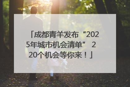 成都青羊发布“2025年城市机会清单” 220个机会等你来！