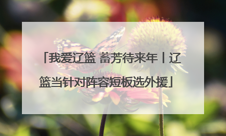 我爱辽篮 蓄芳待来年丨辽篮当针对阵容短板选外援