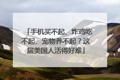 手机买不起、炸鸡吃不起、宠物养不起？这届美国人活得好难