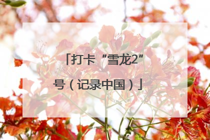 打卡“雪龙2”号（记录中国）