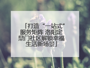 打造“一站式”服务矩阵 洛阳定鼎门社区解锁幸福生活新场景