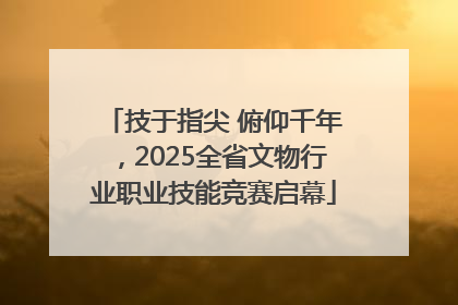 技于指尖 俯仰千年，2025全省文物行业职业技能竞赛启幕