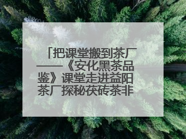 把课堂搬到茶厂——《安化黑茶品鉴》课堂走进益阳茶厂探秘茯砖茶非遗技艺