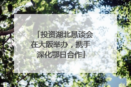 投资湖北恳谈会在大阪举办，携手深化鄂日合作