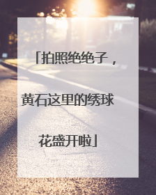 拍照绝绝子，黄石这里的绣球花盛开啦