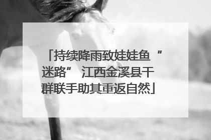 持续降雨致娃娃鱼“迷路” 江西金溪县干群联手助其重返自然