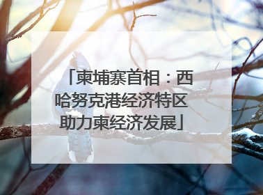 柬埔寨首相：西哈努克港经济特区助力柬经济发展