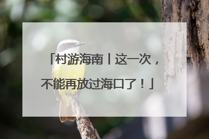 村游海南丨这一次，不能再放过海口了！