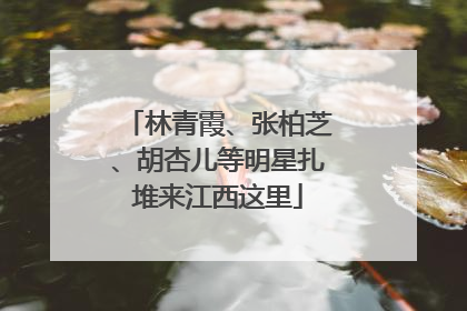 林青霞、张柏芝、胡杏儿等明星扎堆来江西这里