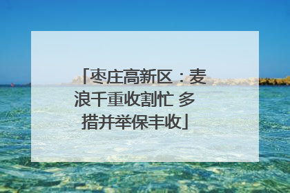 枣庄高新区：麦浪千重收割忙 多措并举保丰收