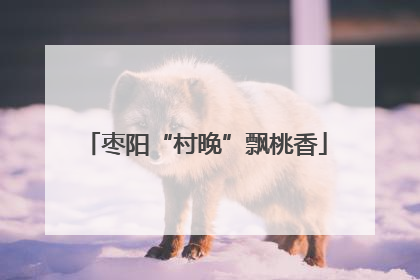 枣阳“村晚”飘桃香