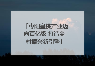 枣阳皇桃产业迈向百亿级 打造乡村振兴新引擎