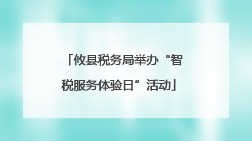 攸县税务局举办“智税服务体验日”活动