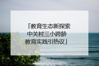 教育生态新探索 中关村三小跨龄教育实践引热议