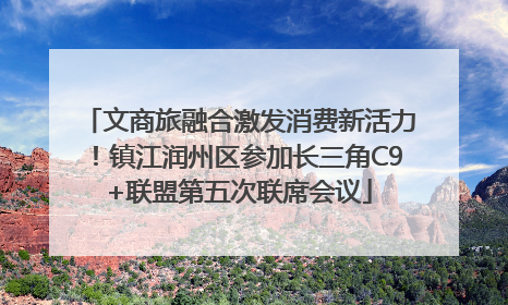 文商旅融合激发消费新活力！镇江润州区参加长三角C9+联盟第五次联席会议