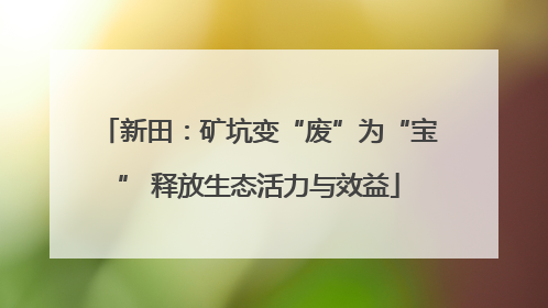 新田：矿坑变“废”为“宝” 释放生态活力与效益