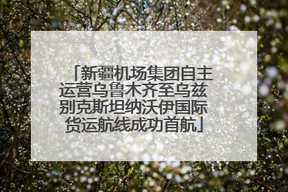 新疆机场集团自主运营乌鲁木齐至乌兹别克斯坦纳沃伊国际货运航线成功首航