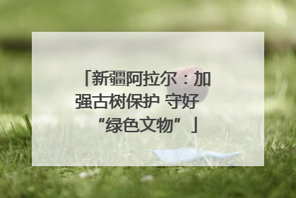 新疆阿拉尔：加强古树保护 守好“绿色文物”