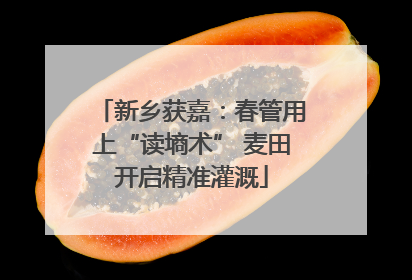 新乡获嘉：春管用上“读墒术” 麦田开启精准灌溉